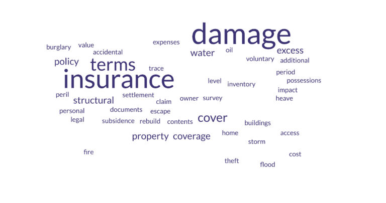 Insurance policy terminology and definitions